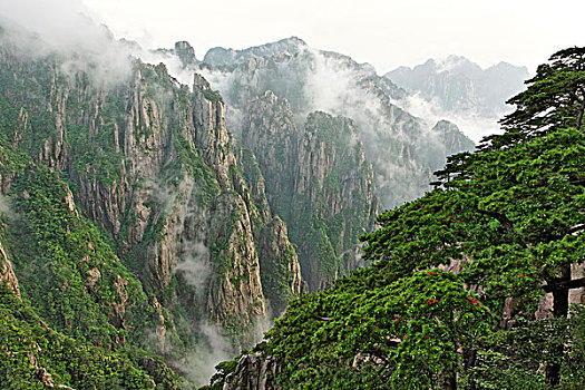 失忆水在哪可以买得到C1B8D97C5-18975